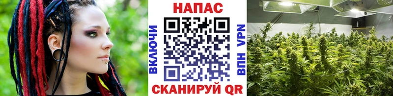 Купить Димитровград КОКАИН Гашиш Псилоцибиновые грибы Каннабис Амфетамин