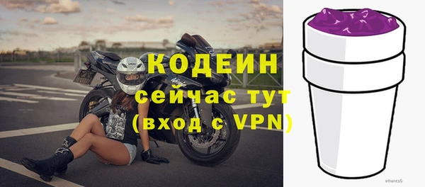 спиды Вяземский