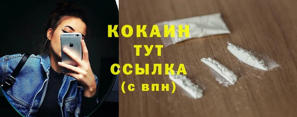 спиды Вяземский