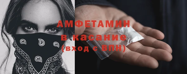спиды Вяземский