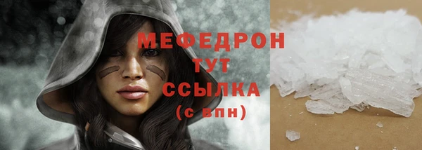 спиды Вяземский