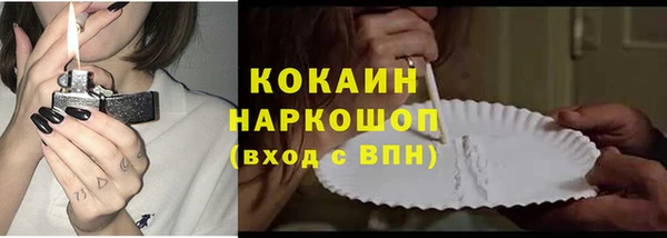 спиды Вяземский