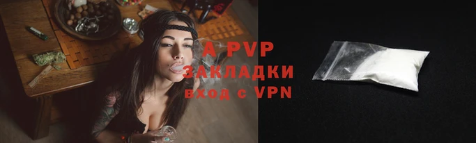 спиды Вяземский