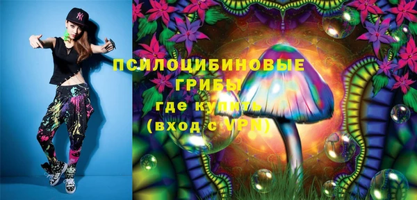 спиды Вяземский