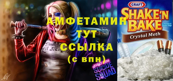 спиды Вяземский