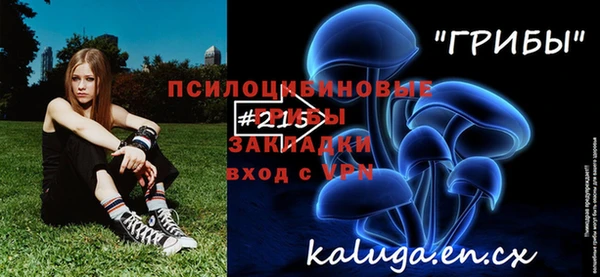 дурь Вязьма