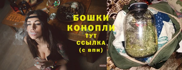 спиды Вяземский
