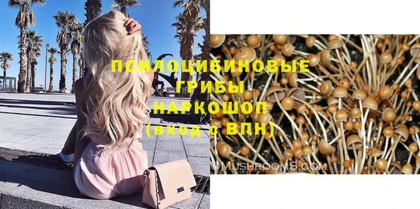 спиды Вяземский