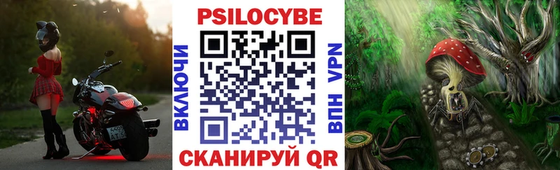 закладки  Димитровград  Псилоцибиновые грибы Magic Shrooms 